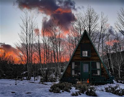 Moose Cabin